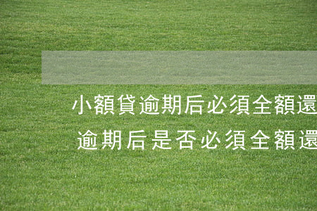 小額貸逾期后必須全額還款嗎為什么，小額貸逾期后是否必須全額還款？原因解析